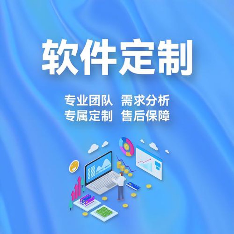 软件定制开发:企业个性化需求的新引擎